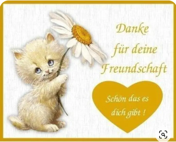 Condolence image of ❤️Eine Rose für dich lieber Timmy ❤️