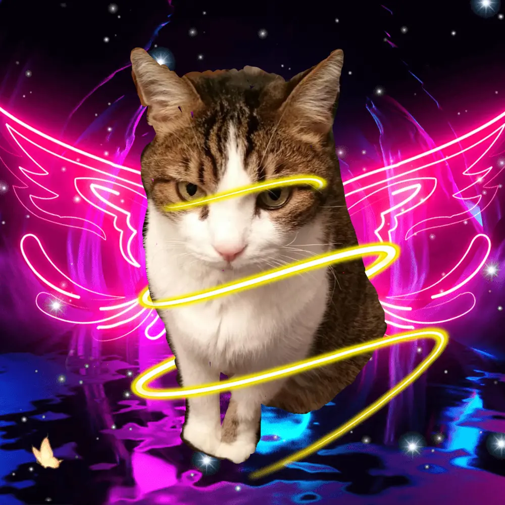 Condolence image of Patricia mit Bunny