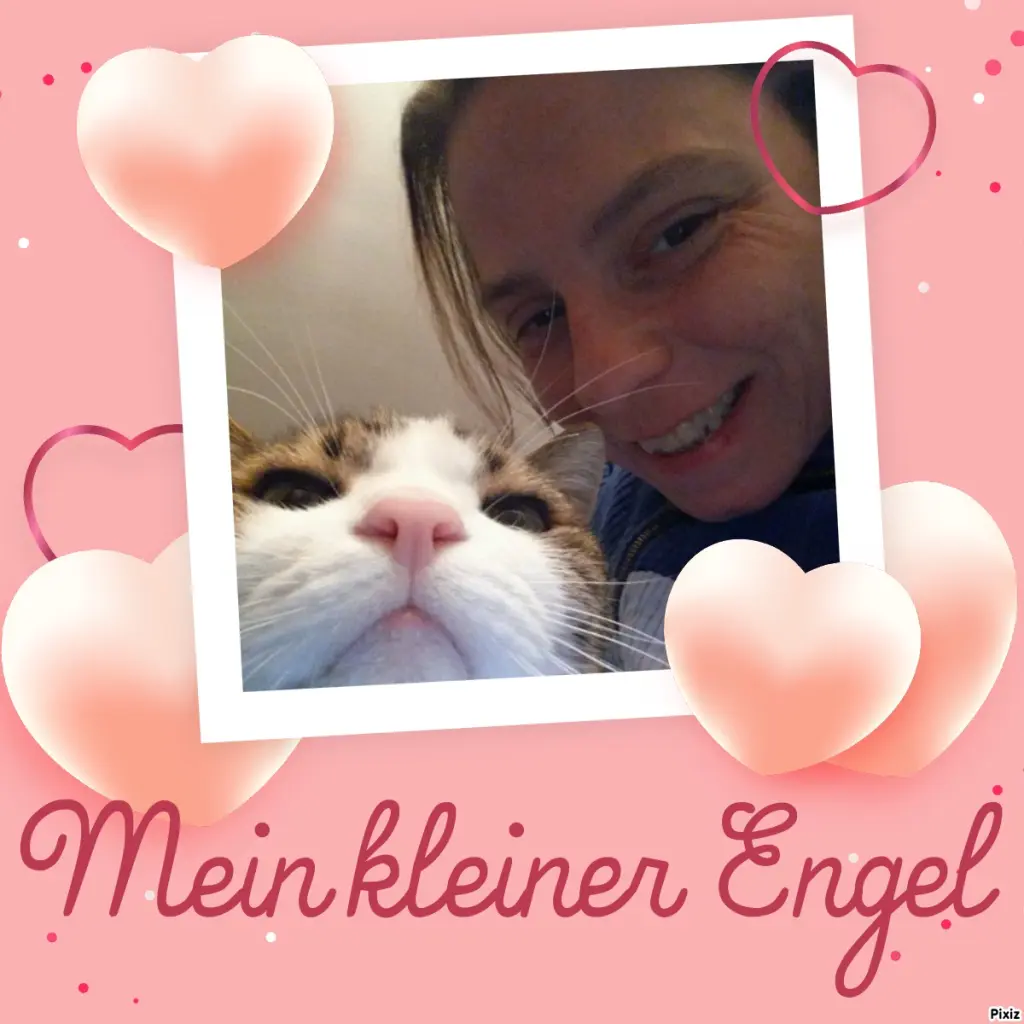 Condolence image of Von Deinem Frauchen Tanja