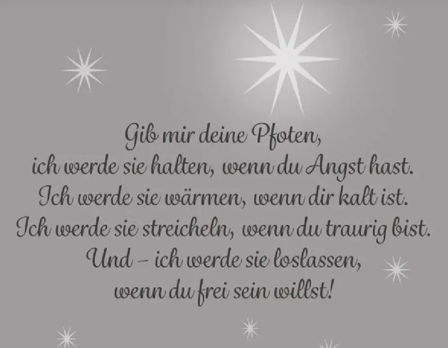 Condolence image of Daniela für Tanja ❤️