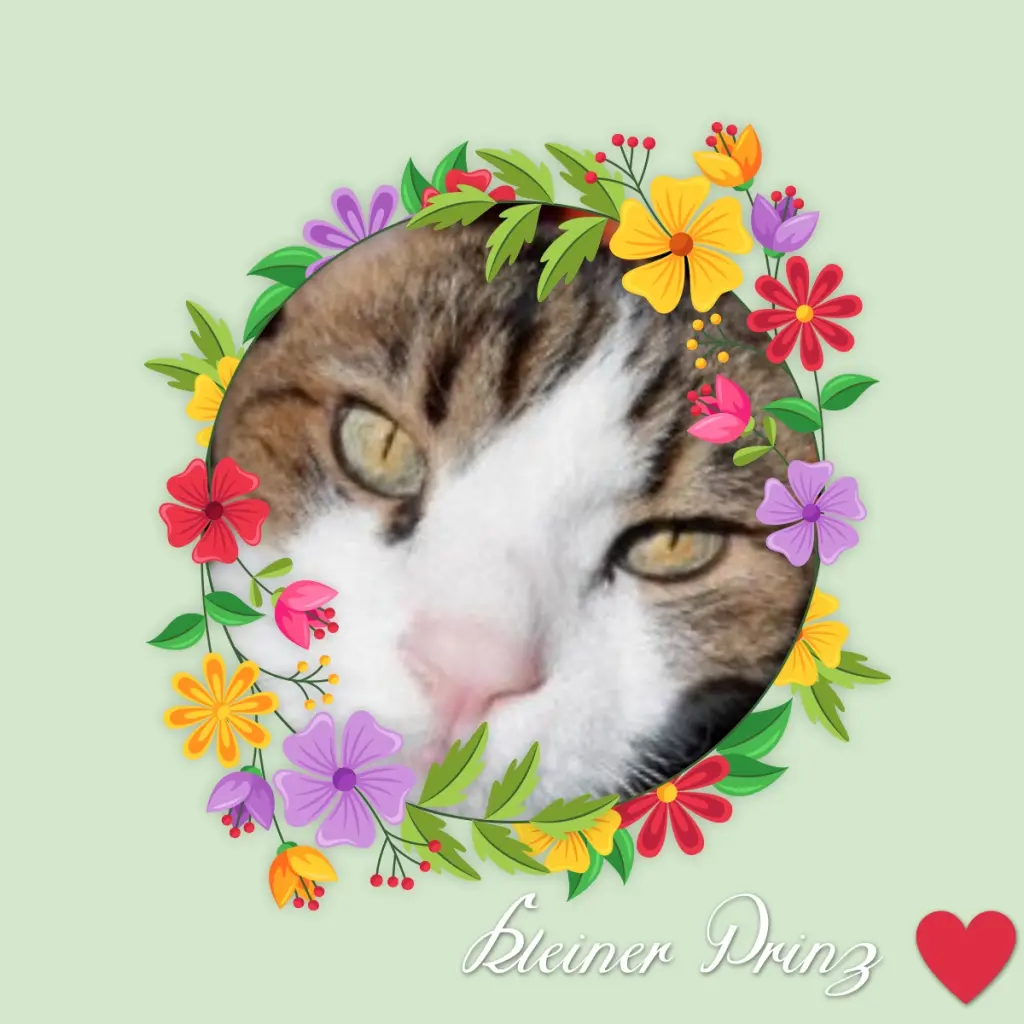 Condolence image of Post von Minki ♥️