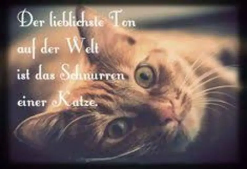 Condolence image of Jutta mit Flash im ❤️