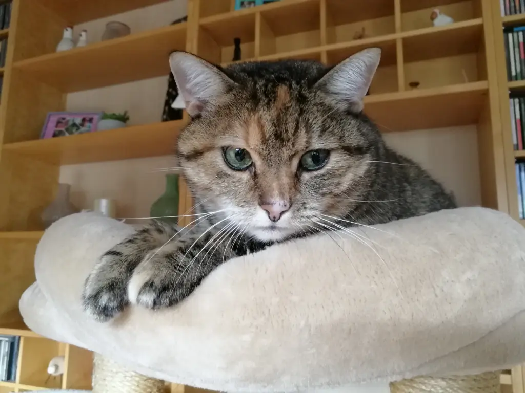 Condolence image of Daniela mit Pauline im ♥️ (+27.05.2021)