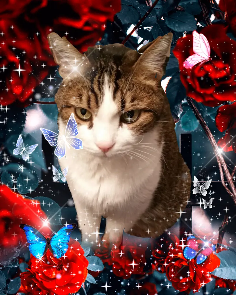 Condolence image of Patricia mit Bunny 