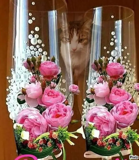 Condolence image of Patricia mit Bunny 