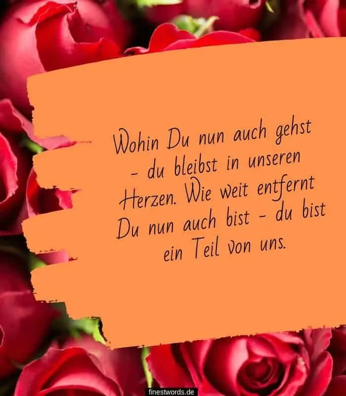 Condolence image of Post von Timmy ♥️