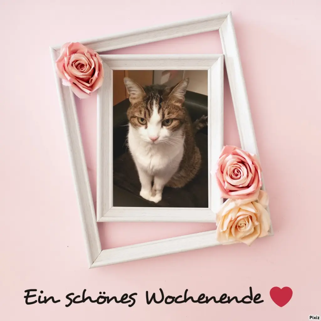 Condolence image of Patricia mit Bunny ❤️ 