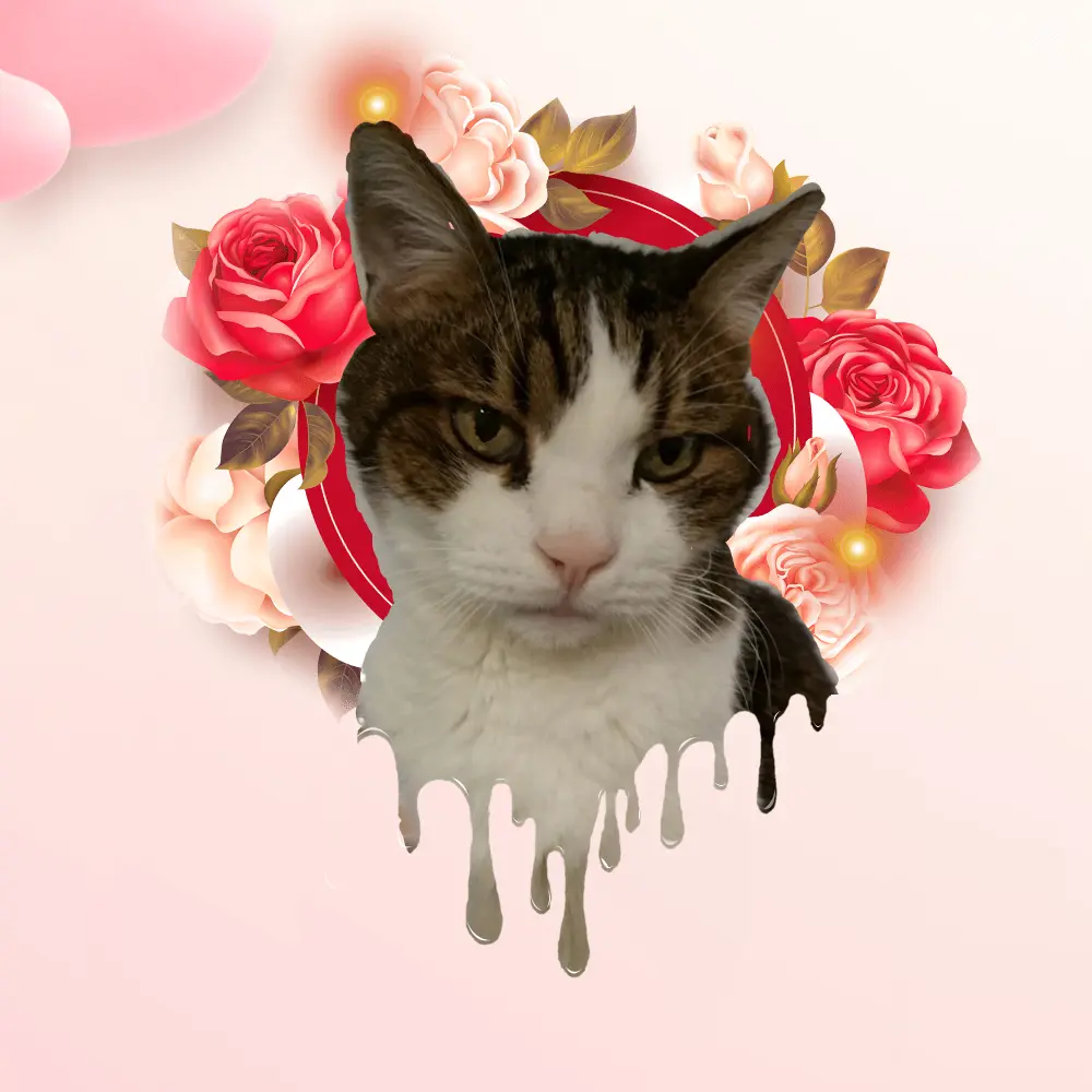 Condolence image of Patricia mit Bunny ❤️ 