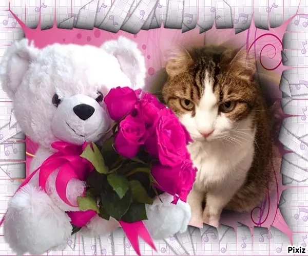 Condolence image of Sternchenpost ⭐️