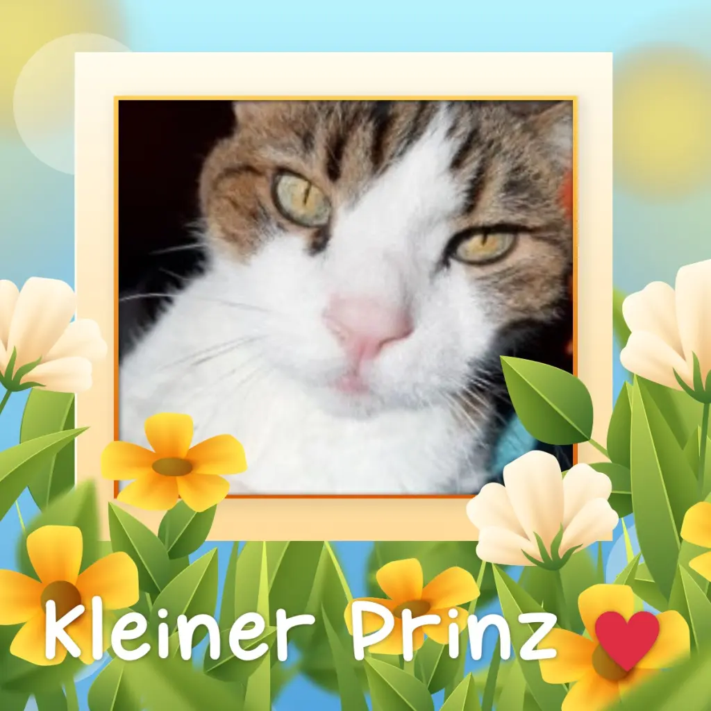 Condolence image of Post von Minki ♥️