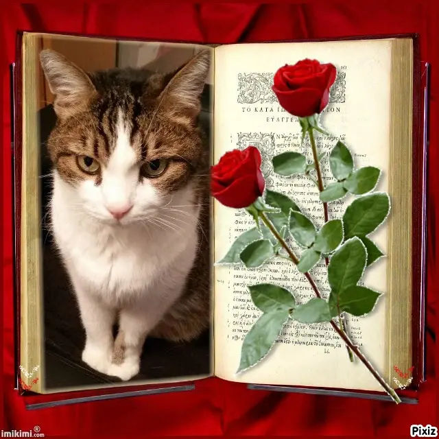 Condolence image of Unbekannt