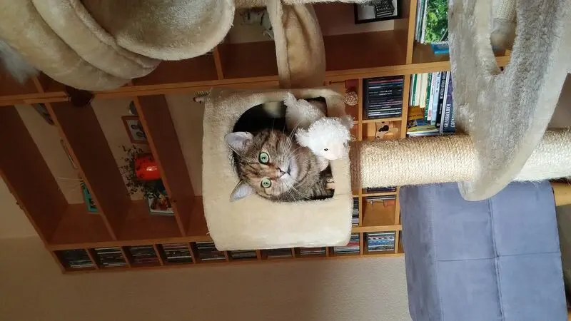 Condolence image of Pauline und Daniela ❤️ für Timmy ♥️