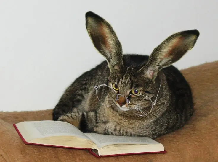 Condolence image of Andrea mit Minki im ♥️