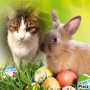 Condolence image of Patricia mit Bunny ❤