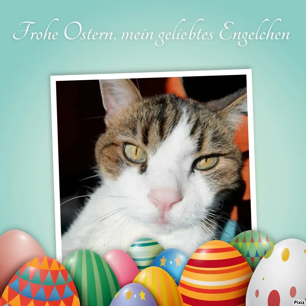 Condolence image of Dein Frauchen Tanja ❤