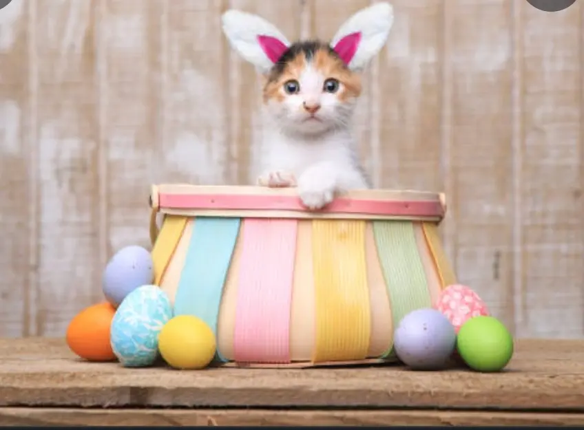 Condolence image of Gabi mit Max ❣️