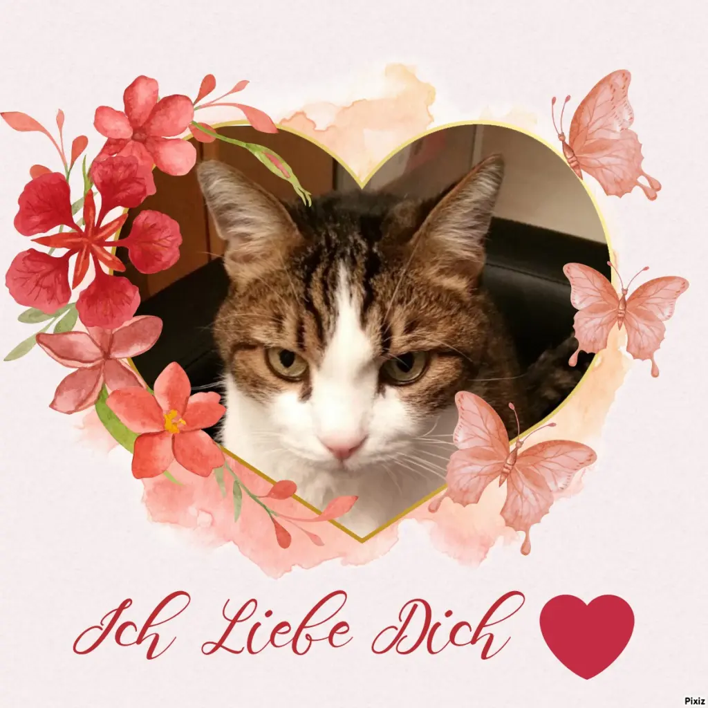 Condolence image of Patricia mit Bunny ❤️ 