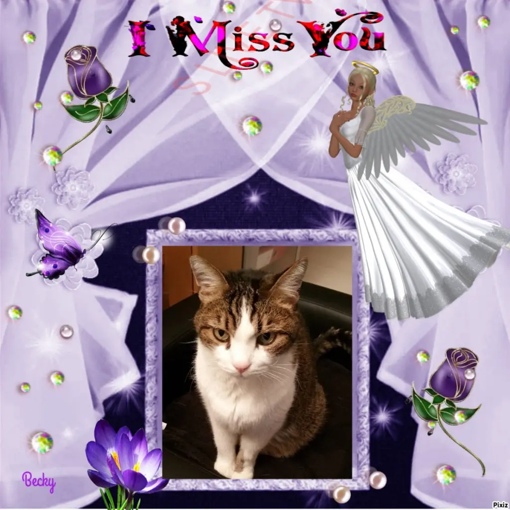 Condolence image of Patricia mit Bunny ❤