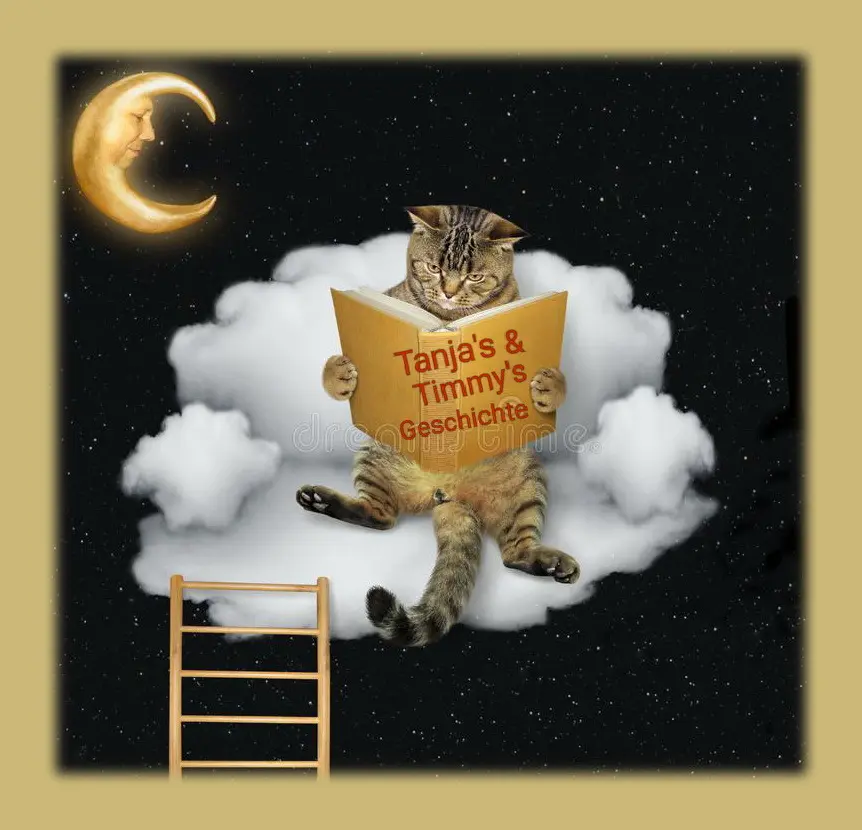 Condolence image of Timmy*s 33. Sternchenmonat꧁❤️