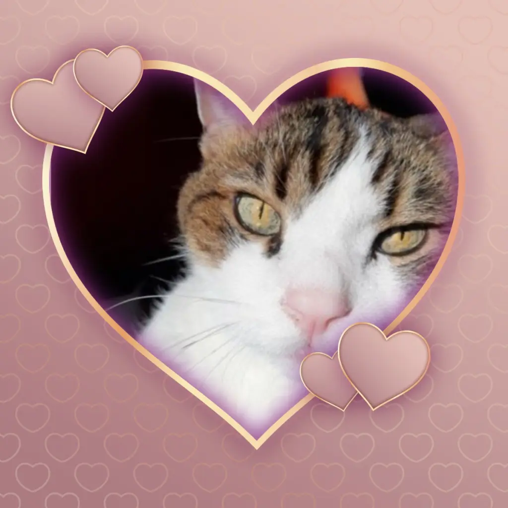 Condolence image of Andrea mit Minki im ♥️