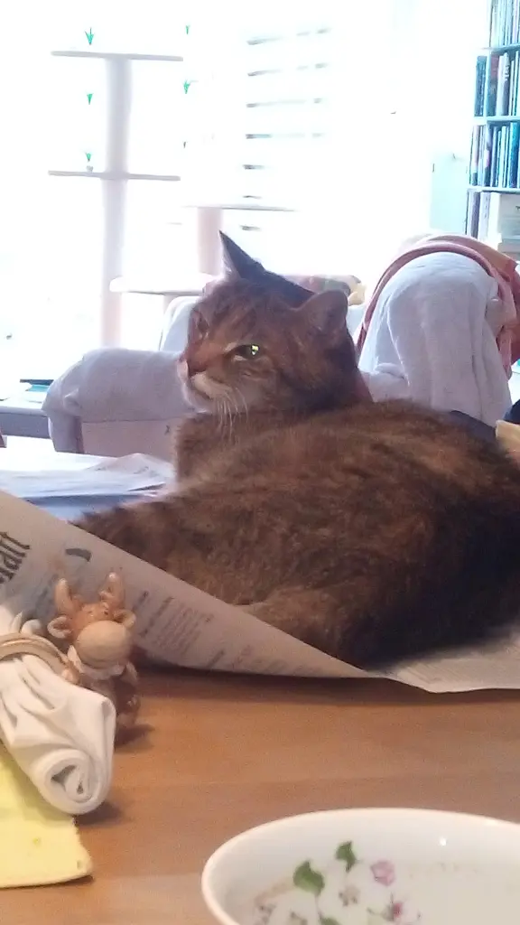 Condolence image of Elisabeth mit Marple im ♥