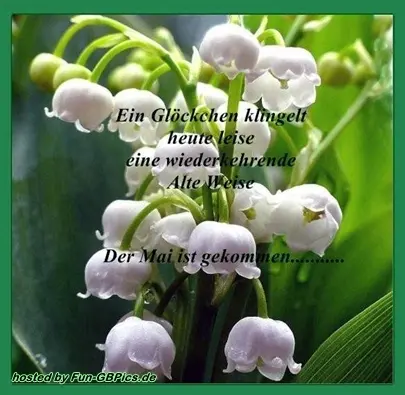 Condolence image of Annemarie und Elke mit Snoopy im Herzen gest.04.01