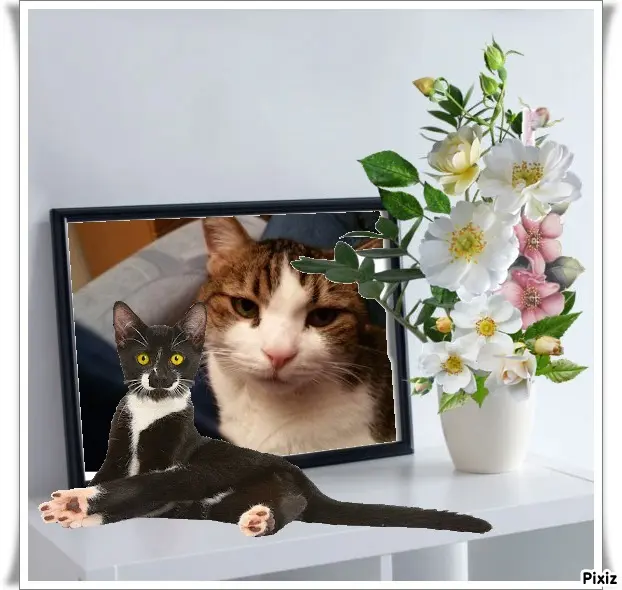 Condolence image of Patricia mit Bunny ❤