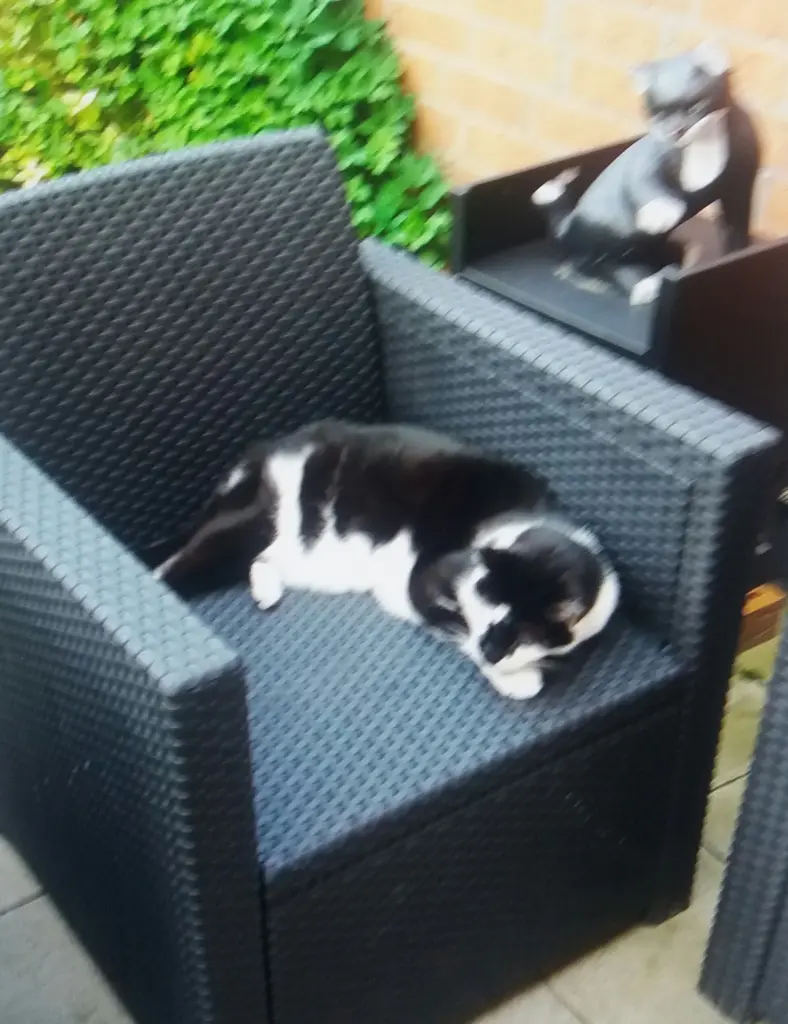 Condolence image of Annemarie und Elke mit Snoopy im Herzen gest 04.01.2022