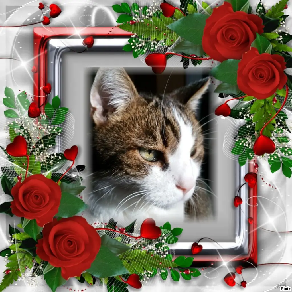 Condolence image of Patricia mit Bunny ❤