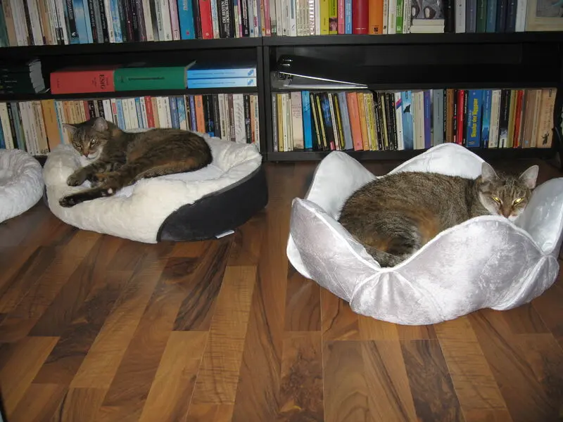 Condolence image of Elisabeth mit Marple im Herzen