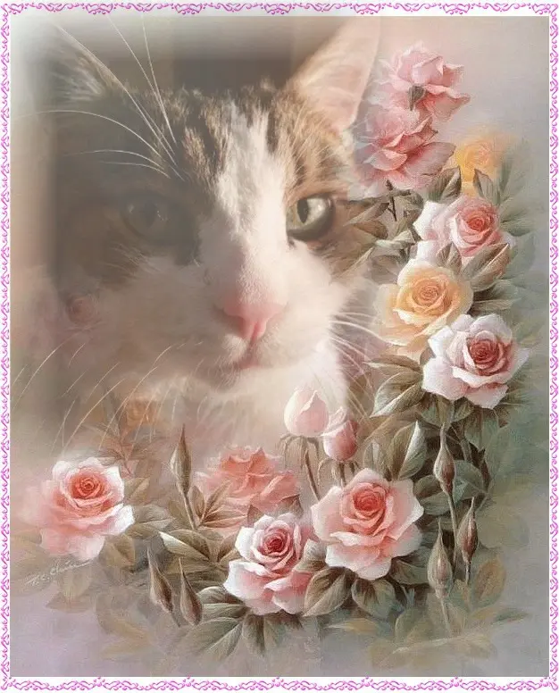 Condolence image of Patricia mit Bunny ❤