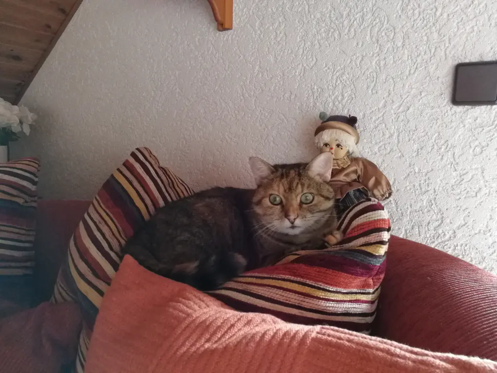 Condolence image of Daniela mit Pauline im ♥️ (+27.05.2021)