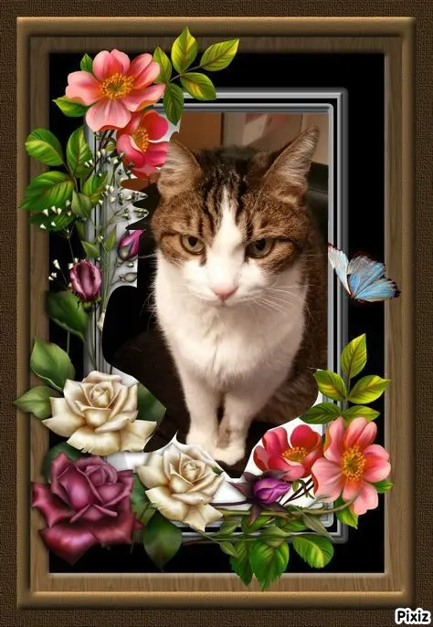 Condolence image of Patricia mit Bunny ❤