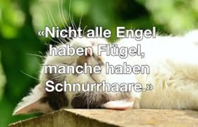 Condolence image of Jutta mit ❤️ Flash ❤️ im Herzen