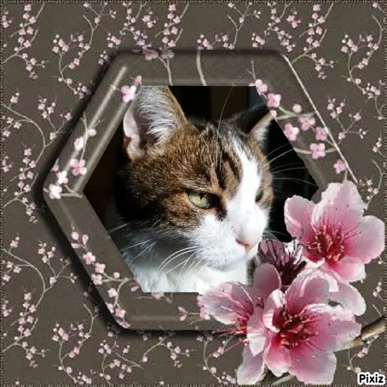 Condolence image of Patricia mit Bunny ❤