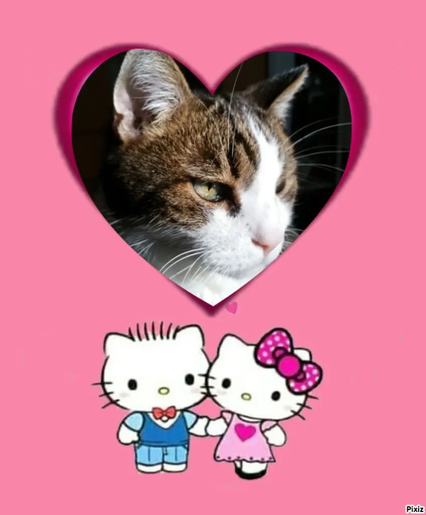 Condolence image of Patricia mit Bunny ❤