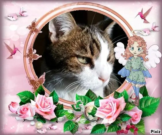 Condolence image of Patricia mit Bunny ❤