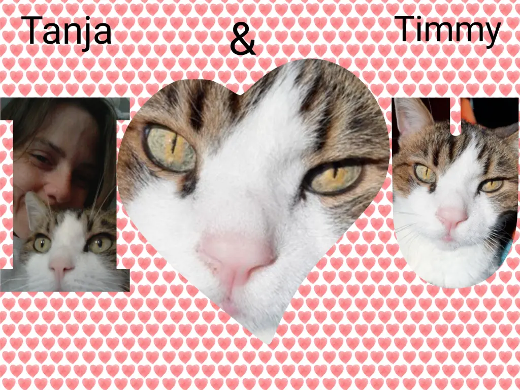 Condolence image of Corinna mit Emma, Pummelchen und anderen Sternlein im ❤️