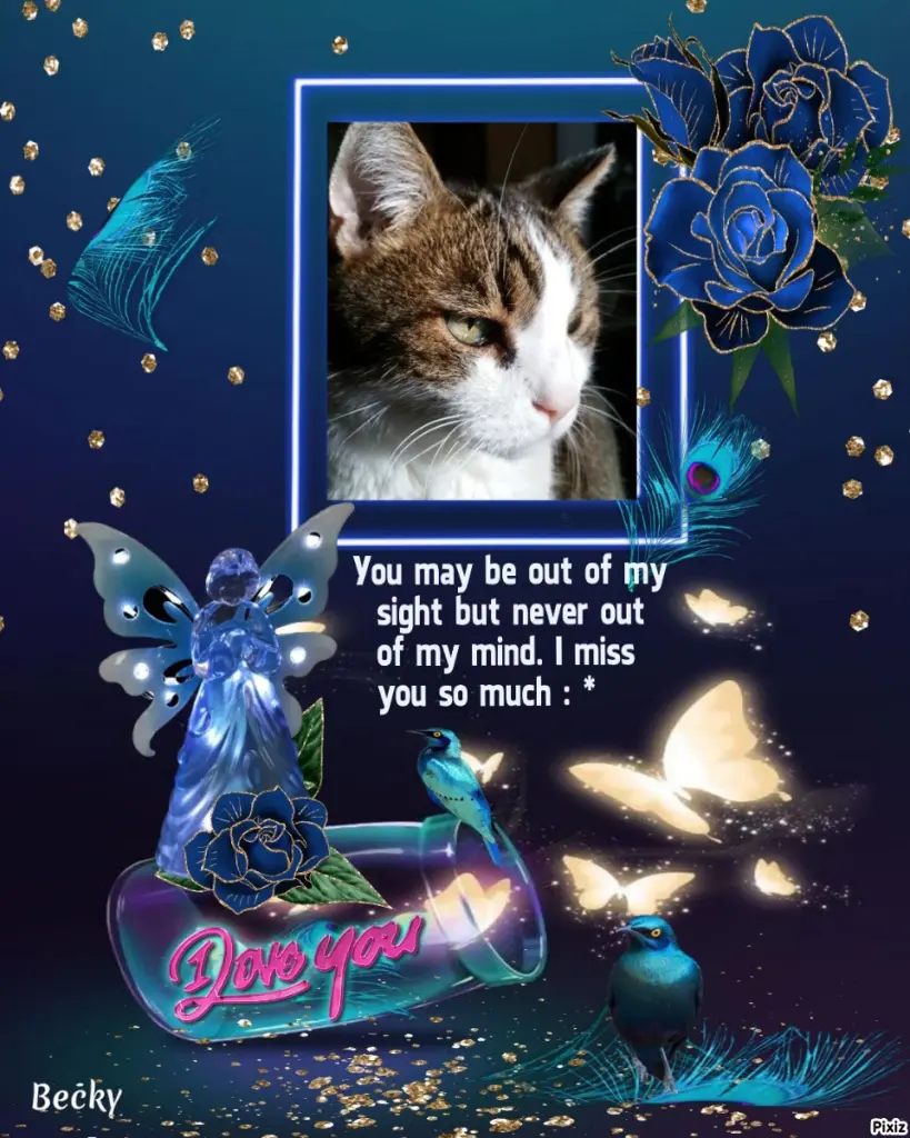 Condolence image of Sternchenpost ⭐