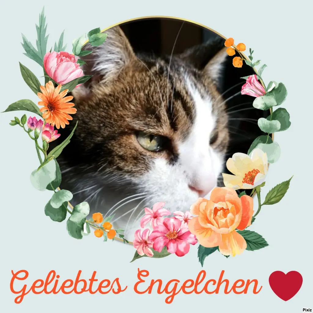 Condolence image of Patricia mit Bunny ❤