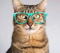 Condolence image of Jutta mit Flash im ❤️