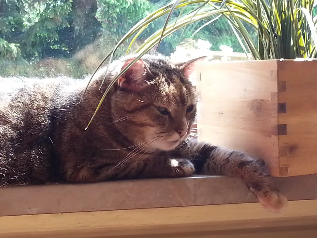 Condolence image of Daniela mit Pauline im ♥️ (+27.05.2021)