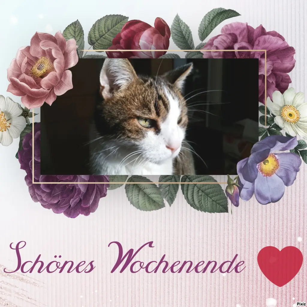 Condolence image of Patricia mit Bunny ❤