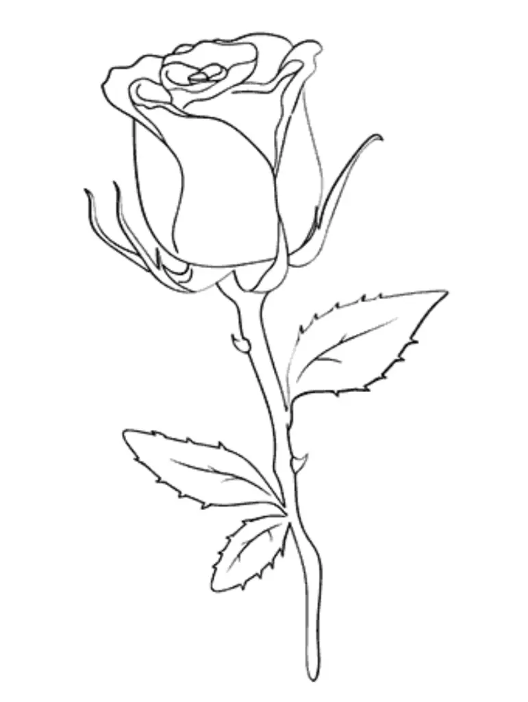 Condolence image of Pauline  für Sternenprinz Timmy ♥️