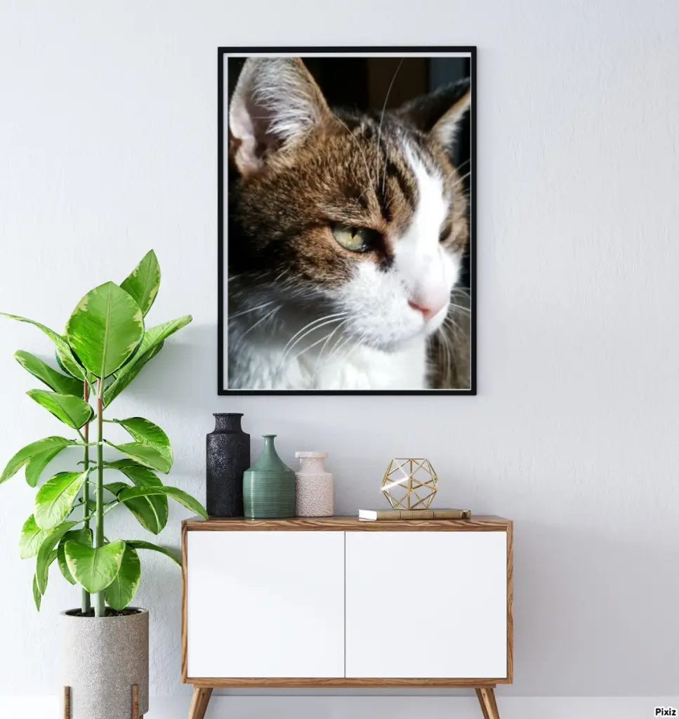 Condolence image of Patricia mit Bunny ❤