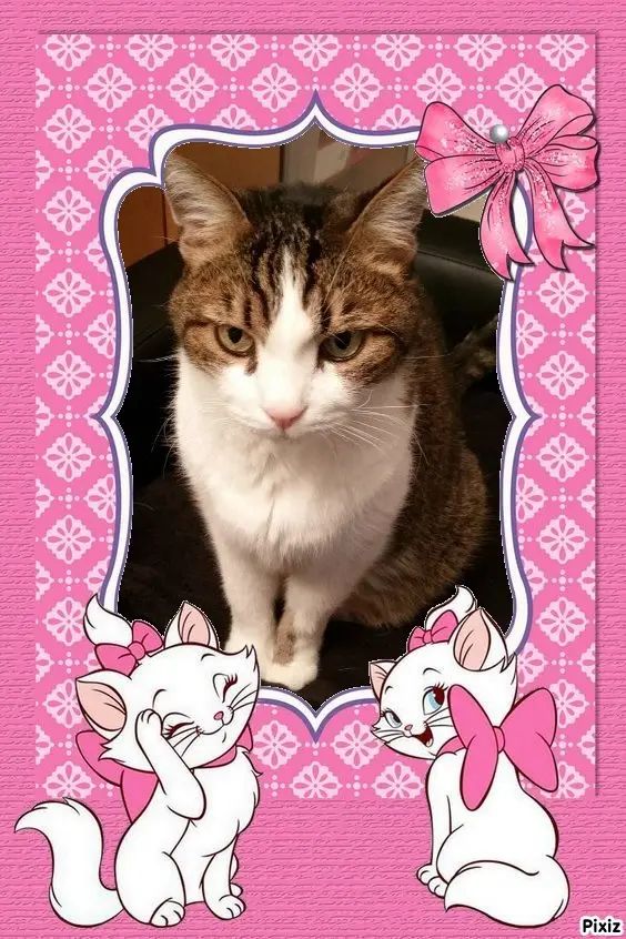 Condolence image of Patricia mit Bunny ❤