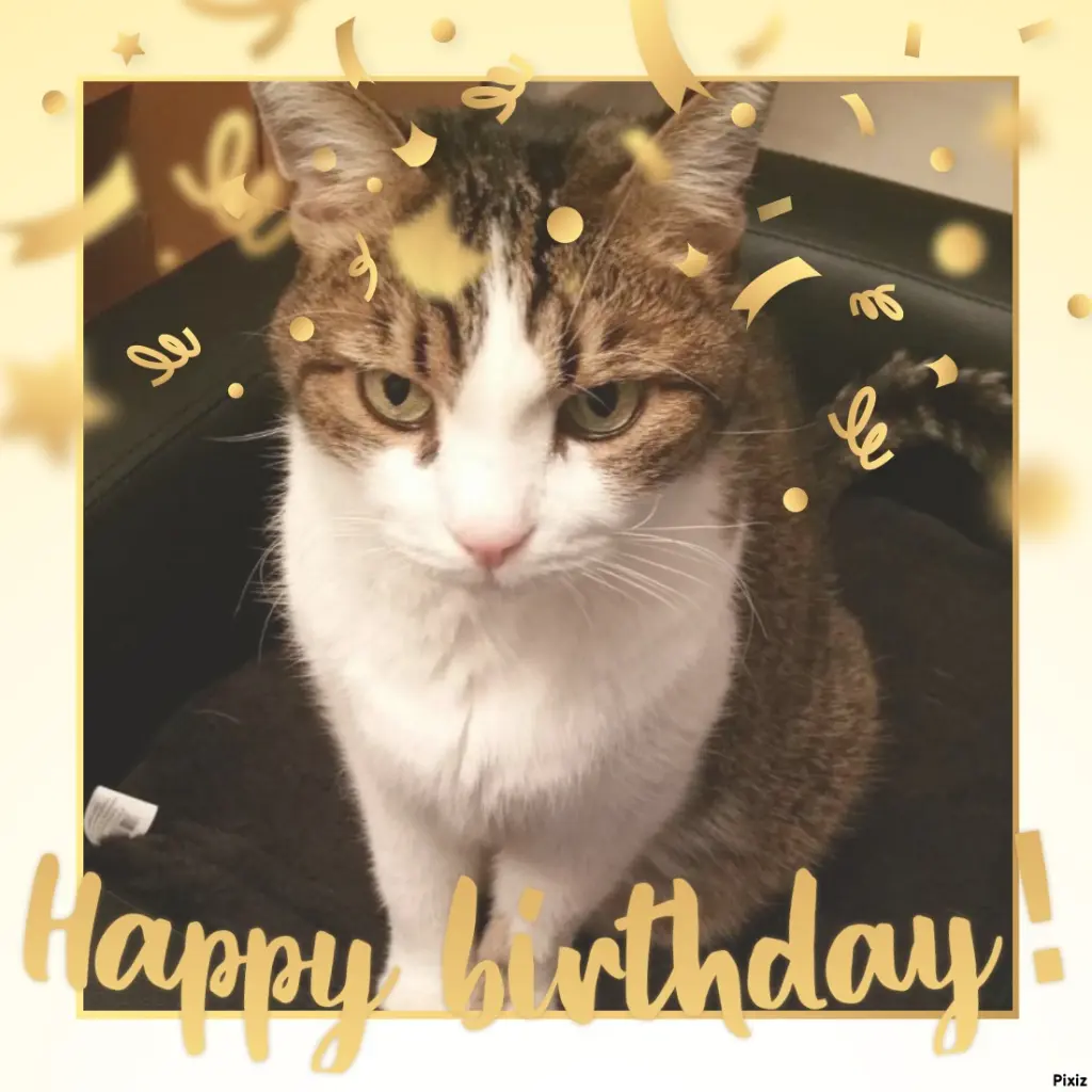 Condolence image of Happy Birthday ❤