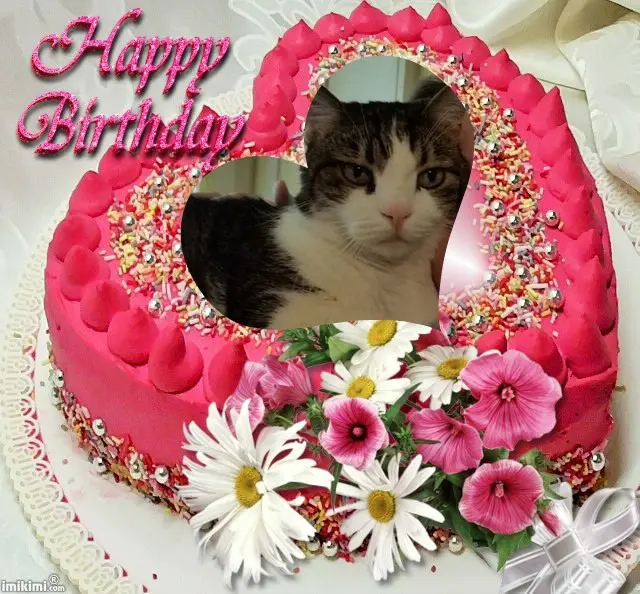 Condolence image of 21.Geburtstag❤️❤️❤️❤️❤️❤️❤️❤️❤️❤️❤️❤️❤️❤️❤️❤️❤️❤️❤️❤️❤️