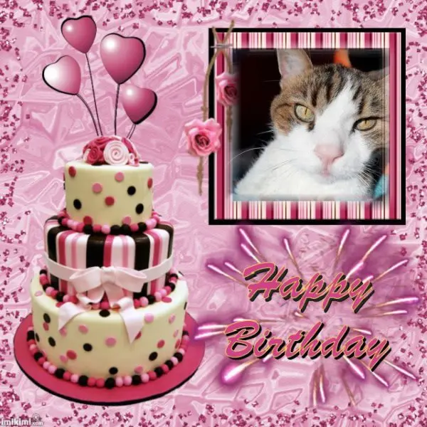 Condolence image of Andrea mit Minki im ♥️