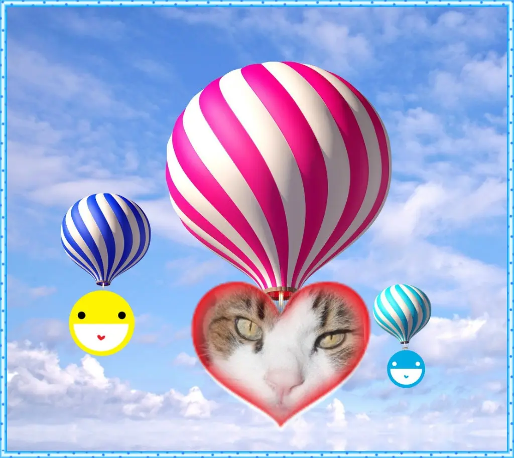 Condolence image of Post von Minki ♥️